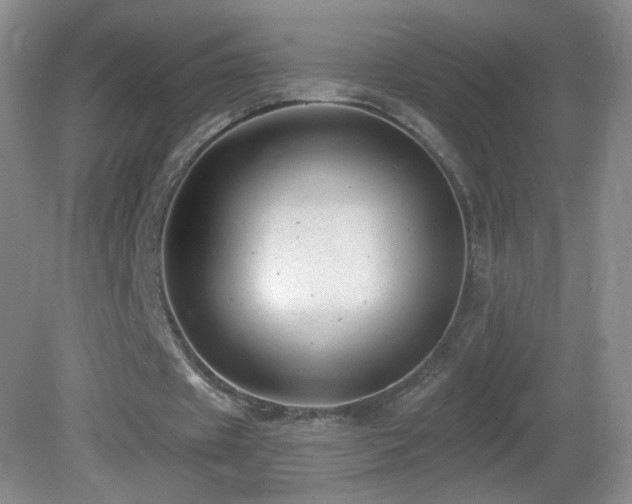 X0000082730433200701261249