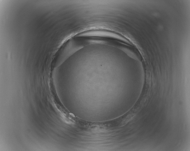 X0000082730434200701261249