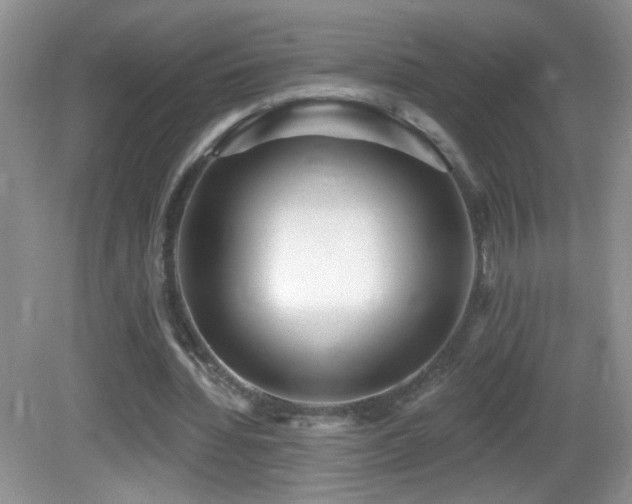 X0000082730436200701261249