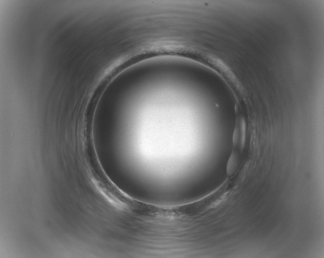 X0000082730439200701261249