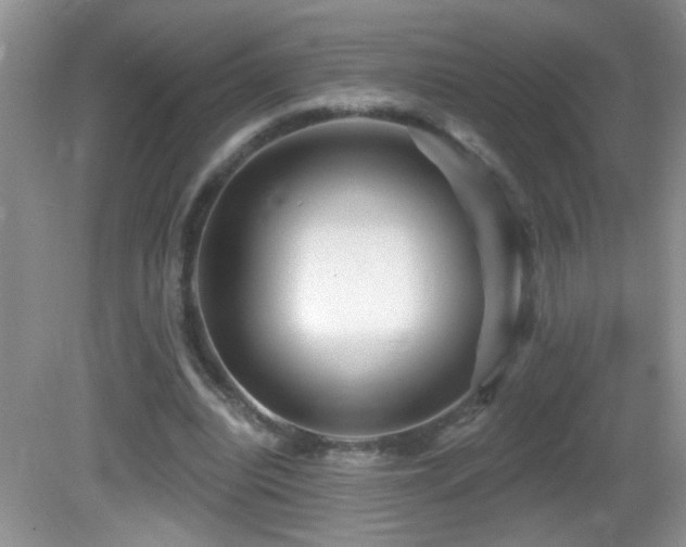 X0000082730440200701261249