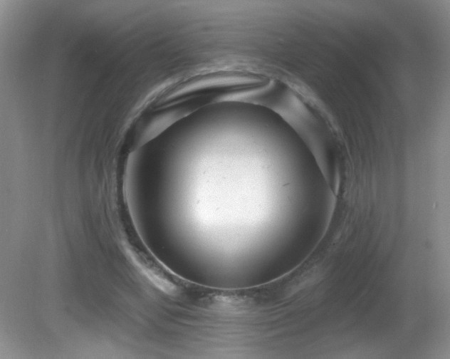 X0000082730442200701261249
