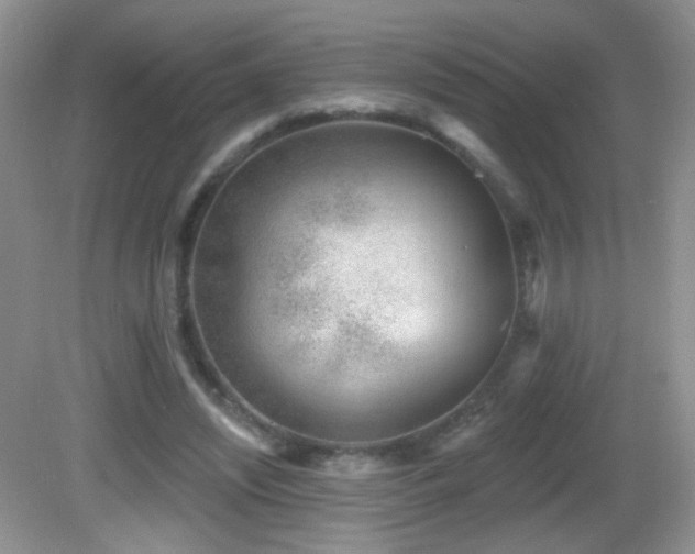 X0000082730444200701261249