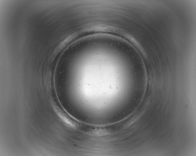 X0000082730445200701261249
