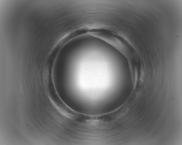 X0000082730448200701261249