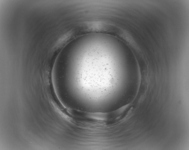 X0000082730450200701261249
