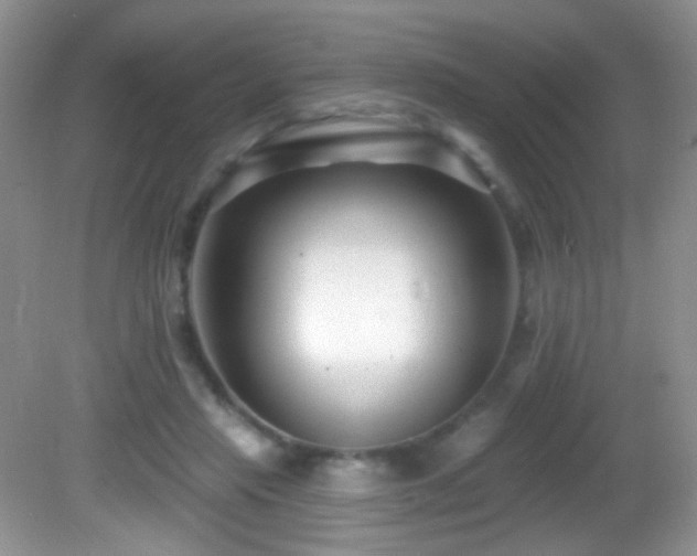 X0000082730453200701261249