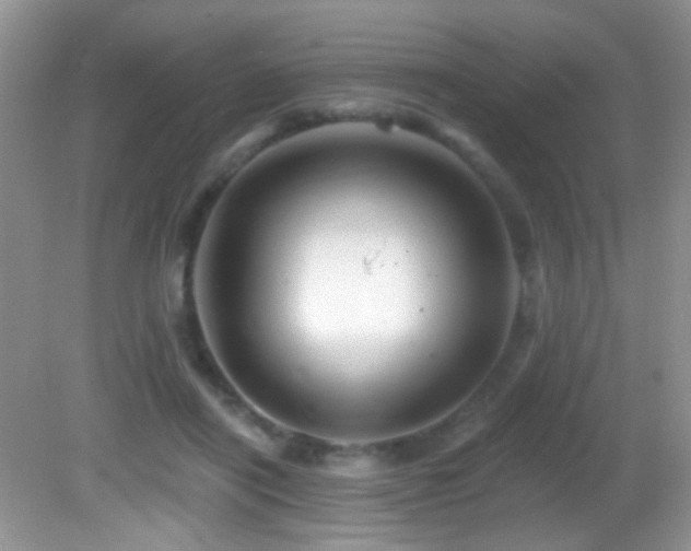 X0000082730454200701261249