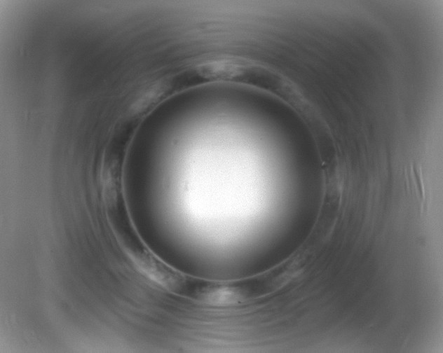 X0000082730460200701261249