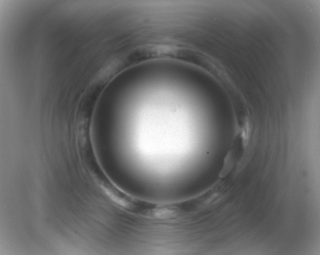 X0000082730462200701261249