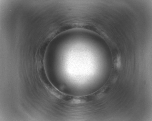 X0000082730464200701261249