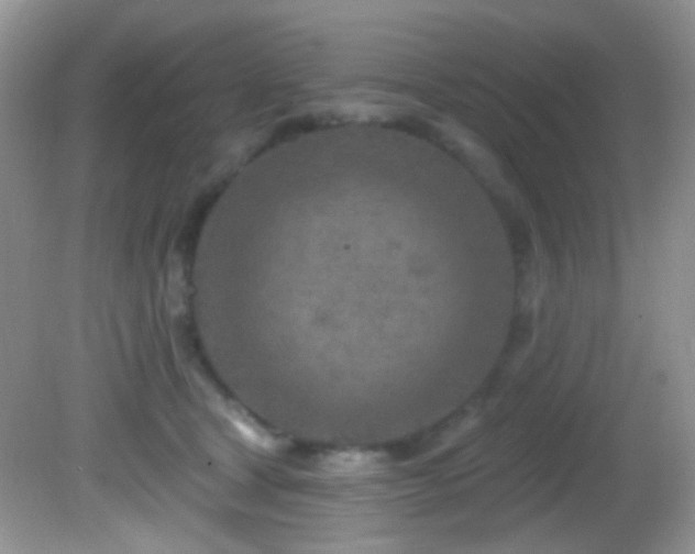 X0000082730465200701261249