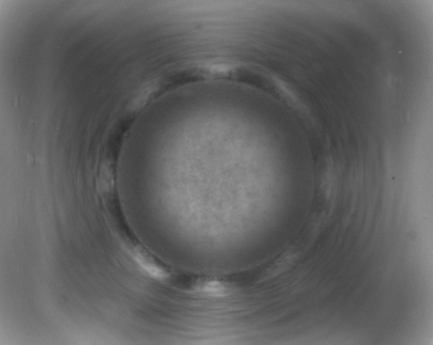 X0000082730467200701261249