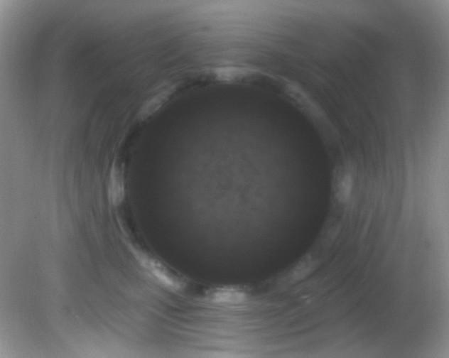 X0000082730471200701261249