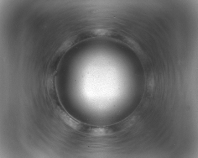 X0000082730473200701261250