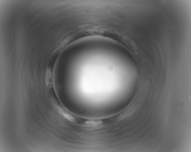 X0000082730480200701261250