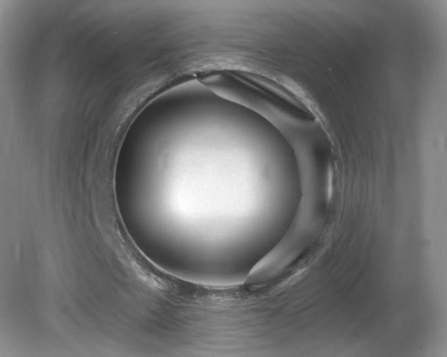 X0000082730481200701261249