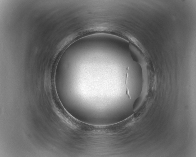 X0000082730482200701261249