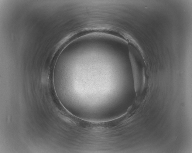 X0000082730483200701261249