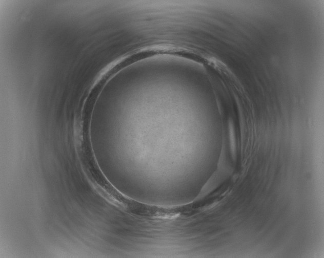X0000082730484200701261249