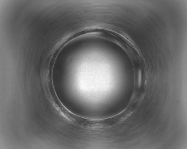 X0000082730485200701261249