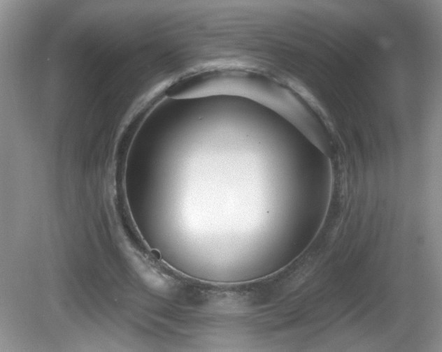 X0000082730486200701261249