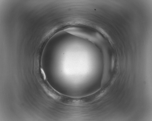 X0000082730493200701261249