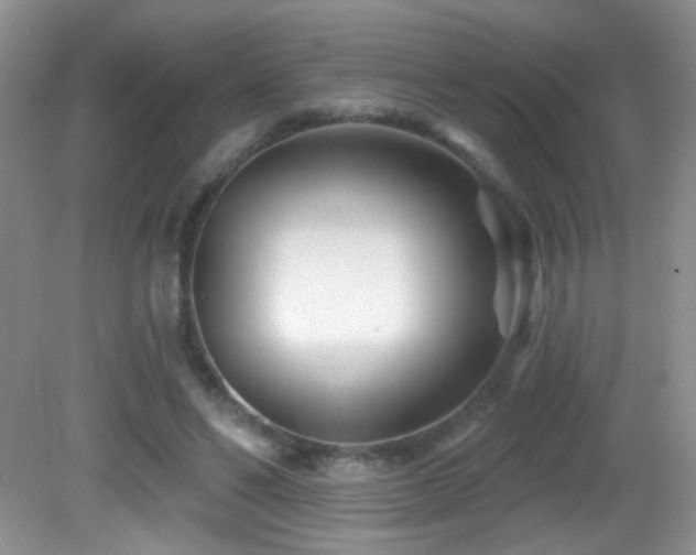 X0000082730494200701261249