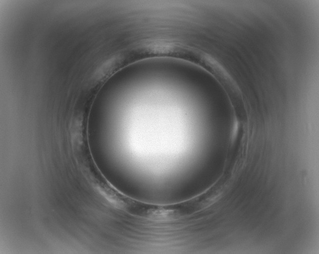X0000082730497200701261249