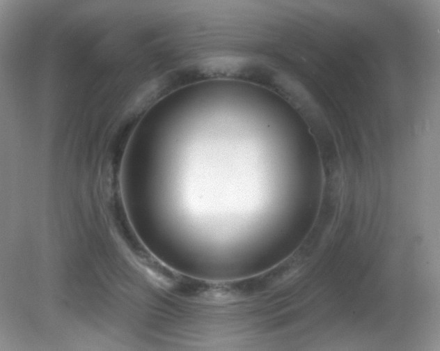 X0000082730498200701261249
