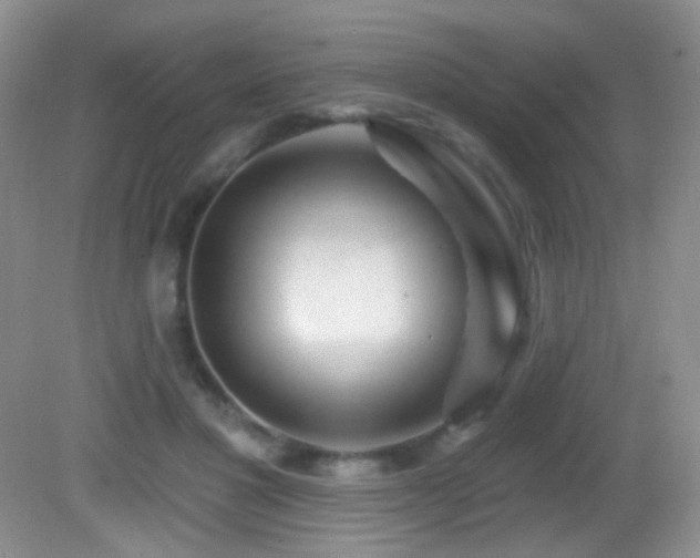 X0000082730501200701261248