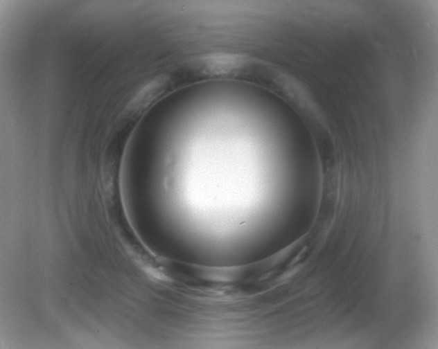 X0000082730505200701261248