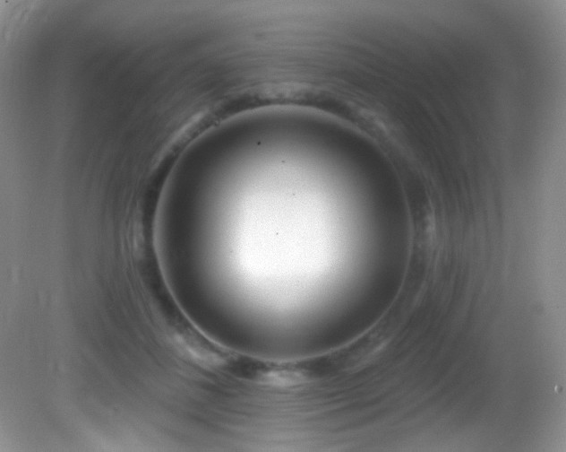 X0000082730508200701261248