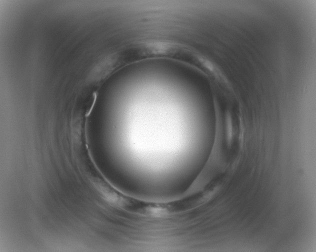 X0000082730509200701261248