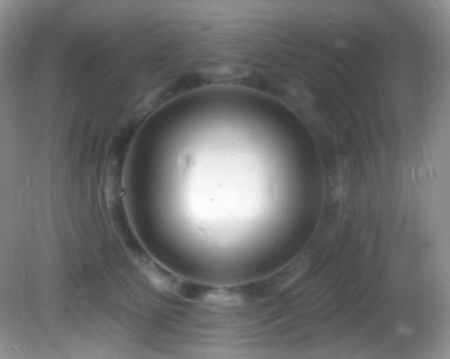 X0000082730515200701261248