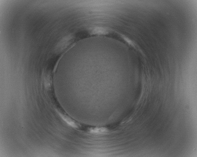 X0000082730517200701261248