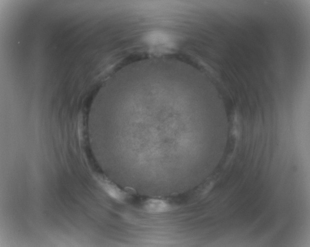 X0000082730519200701261248