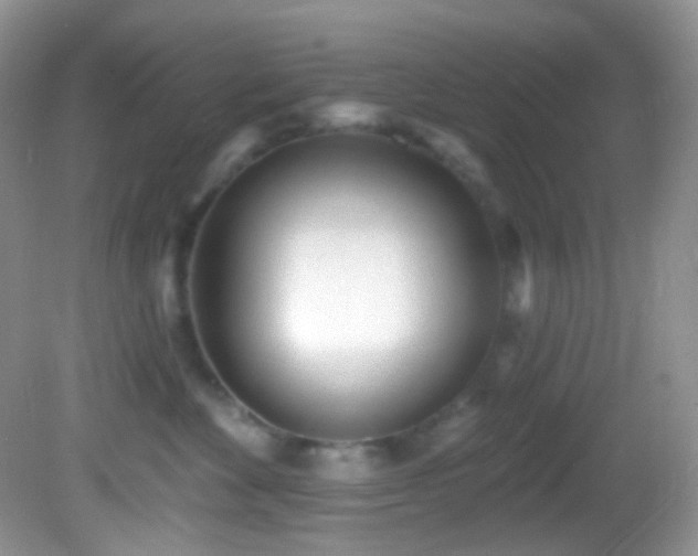 X0000082730524200701261248