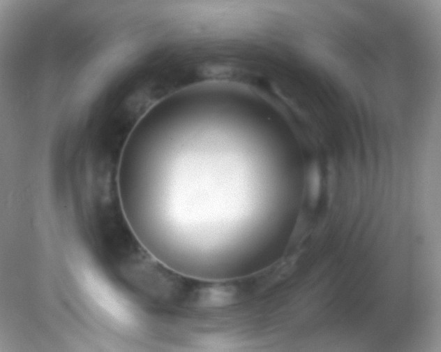 X0000082730525200701261248