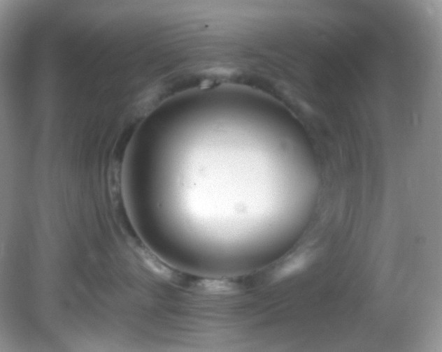 X0000082730528200701261248