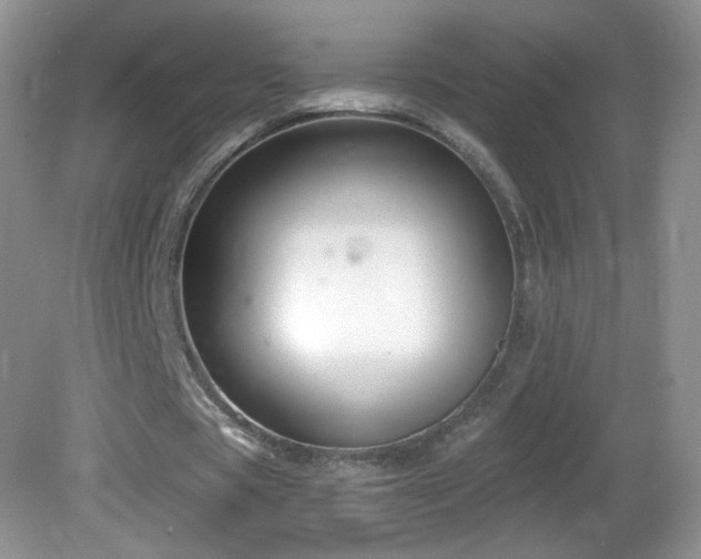 X0000082730529200701261247