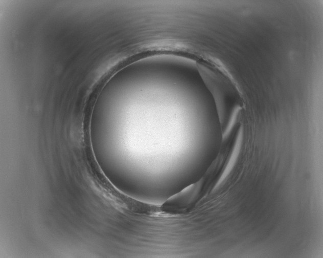 X0000082730531200701261247