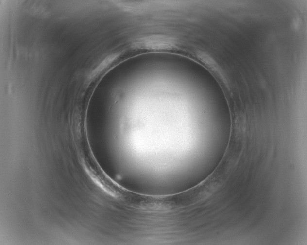 X0000082730533200701261247