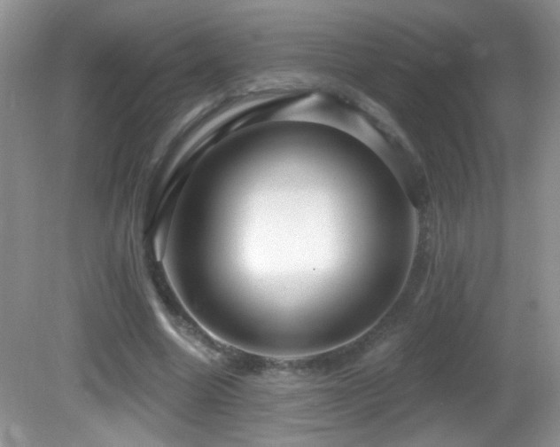 X0000082730538200701261247