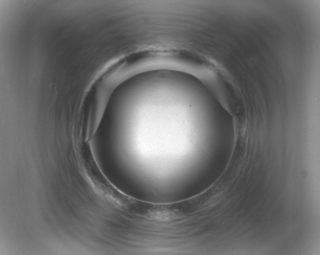X0000082730540200701261247
