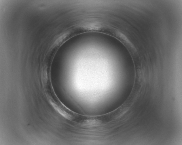 X0000082730541200701261247