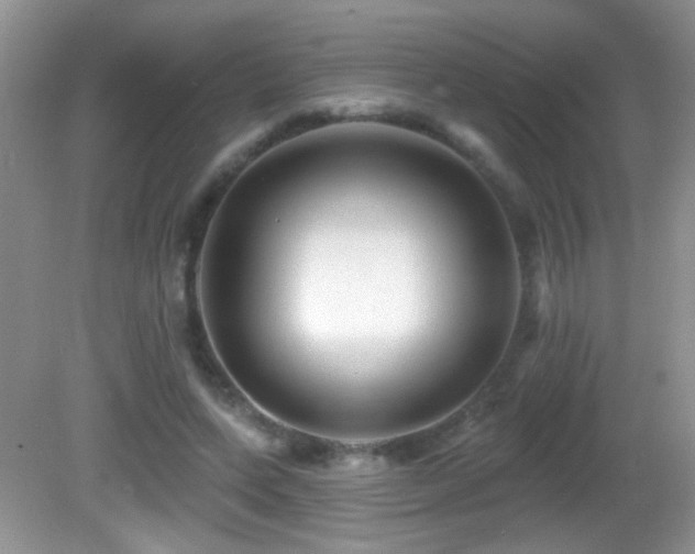 X0000082730543200701261247