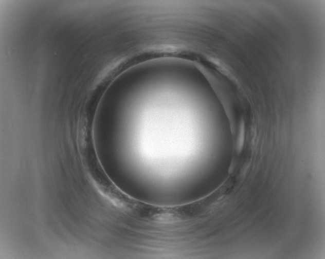 X0000082730544200701261247