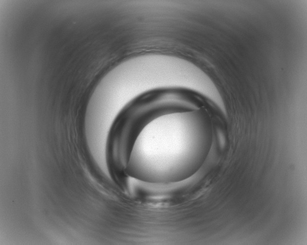 X0000082730546200701261247