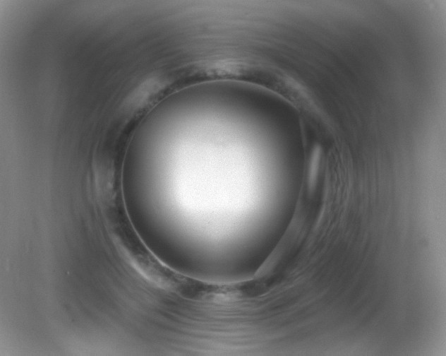 X0000082730548200701261248